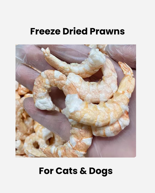 Seafood Bundle!
